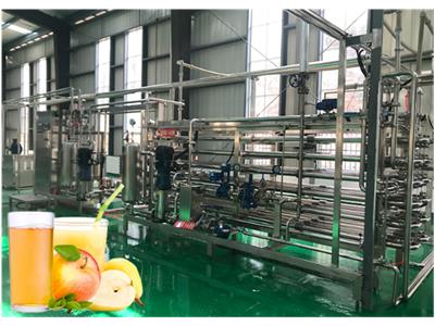 广西小型刺梨加工生产线哪里有 上海果丰机械设备供应
