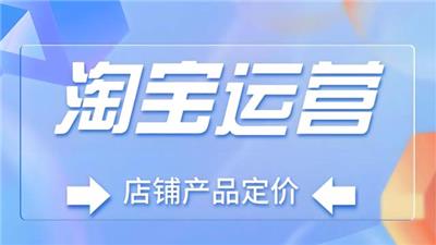枣庄京东代运营公司哪家做的比较好 创新服务 山东胜三六九电子商务供应