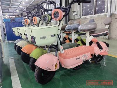 浦东电动车平台招商方法 享川新能源科技供应