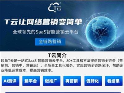 临朐潍坊全域营销推广软件效果 推荐咨询 桐宸管理山东供应