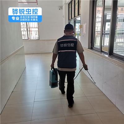 石坝白蚁防治服务 工厂消杀灭蝇