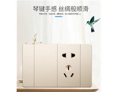 苏州如何开关插座推荐厂家 贴心服务 苏州亿名铖水电服务供应