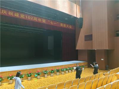 丽水音乐厅音响系统品牌 贴心服务 南京丰绘视安电子科技供应