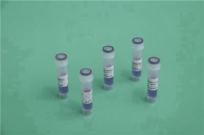 自含式指示剂工厂直销 欢迎来电 南京乐诊生物技术供应