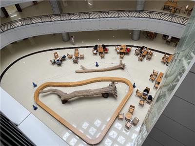 潮州自考专升本培训机构 深圳市龙英教育咨询供应