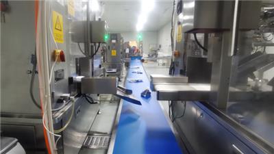 铁板鱿鱼复合调料工厂定制 稻盛食品供应