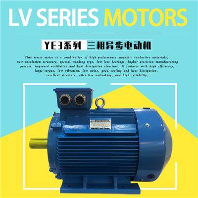 GB18163-2020效率能效电机型号YE5-315M-2-132KW马达