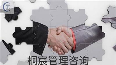 潍城区附近哪里有人力资源培训与咨询服务内容 推荐咨询 桐宸管理山东供应