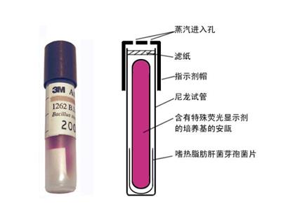 低温蒸汽水浴灭菌生物指示剂销售厂家 铸造辉煌 南京乐诊生物技术供应