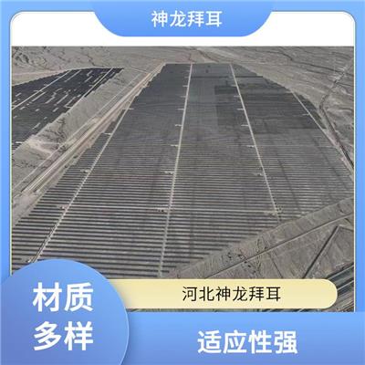 河北神龙拜耳 中国bipv光伏支架 安装便捷