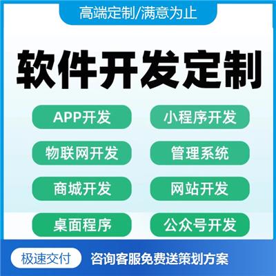 软件开发外包
