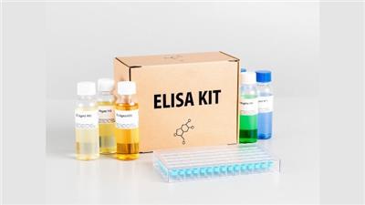 AF胆固醇测定试剂盒 和谐共赢 上海久志生物科技供应