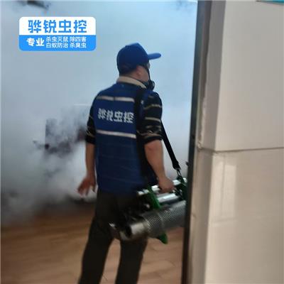 清溪杀虫灭鼠中心 宿舍杀臭虫 除蟑螂