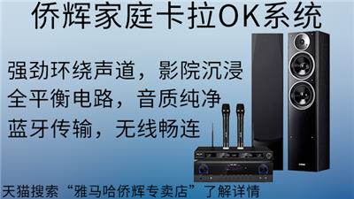 长宁区音王商业卡拉OK音箱定制 上海侨辉经贸供应