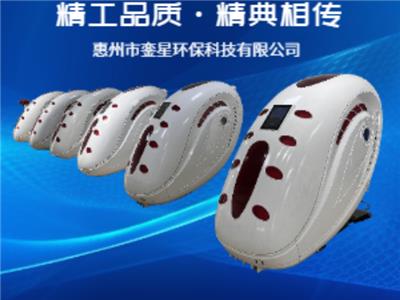 惠州个性化按摩椅招商 服务至上 惠州市銮星环保科技供应
