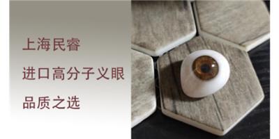 上海**薄儿童义眼舒适 上海崇睿医疗器械科技供应