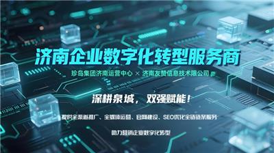 山东数据营销网络推广推荐厂家 济南友赞信息技术供应