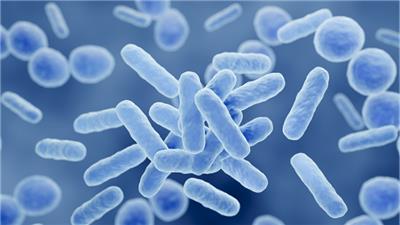 哪些成人益生菌使用方法 值得信赖 西安华壹健康医学检验实验室供应