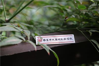 私立国际班有什么学校 苏州绘梦空间网络科技供应