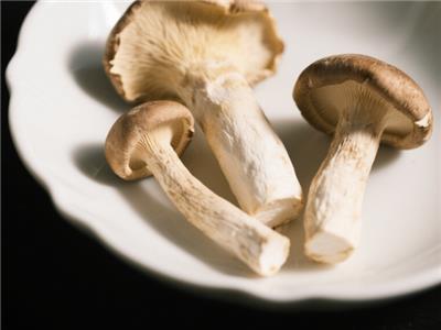 宁夏臻有良品菌菇干货礼盒食用 来电咨询 上海臻有良品实业供应
