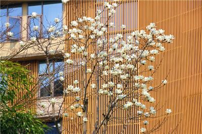 中学国际班能考国内大学吗 苏州绘梦空间网络科技供应