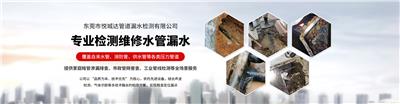 东莞市悦城达管道漏水检测有限公司