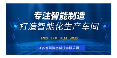 枣庄MOM软件推荐 常州金蝶 江苏智蝶数字科技供应