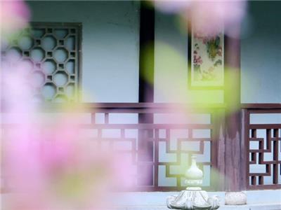 专科国际班值得去上吗 苏州绘梦空间网络科技供应