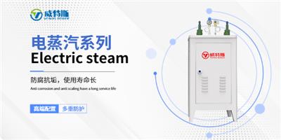 合规天然气蒸汽发生器 江苏威特斯锅炉制造供应