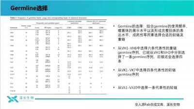上海全人源Fab合成噬菌体文库服务方案 上海溪长生物技术供应