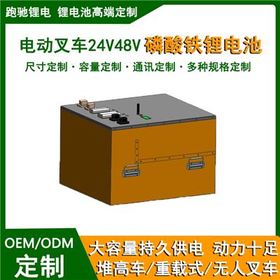 电动叉车堆高车24V48V300Ah磷酸铁锂蒂电瓶可加热定制