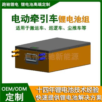 电动穿梭车牵引车磷酸铁锂电池组48V200Ah锂电瓶支持定制