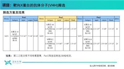 上海溪长单结构域文库抗体发现平台 上海溪长生物技术供应