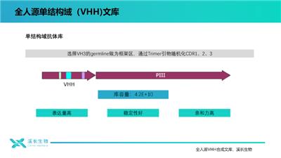 上海溪长全人源单结构域(VHH)合成文库应用 上海溪长生物技术供应