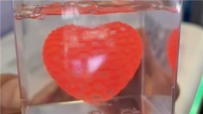 西藏生物3D打印机供应商 深圳森工科技供应