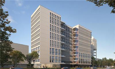 大连手提式氧化锆氧量分析仪 值得信赖 山东德瑞仪器仪表供应