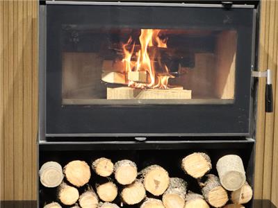 上海封闭式燃木壁炉有什么作用 嵊州市精鑫电器供应