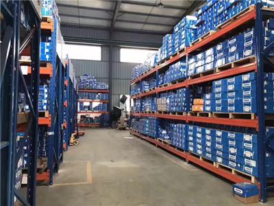 国产轴承导轨 欢迎咨询 温州**轴承科技供应