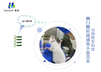 南京药物毒理学试验动物模型笼位 来电咨询 南京灿辰微生物科技供应