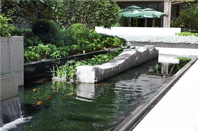 福建如何服装聚集地平台 厦门航空投资供应 厦门航空投资供应