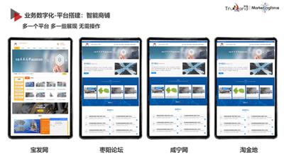 赤峰网络网络广告数字营销需求 真诚推荐 赤峰臻岛网络科技供应