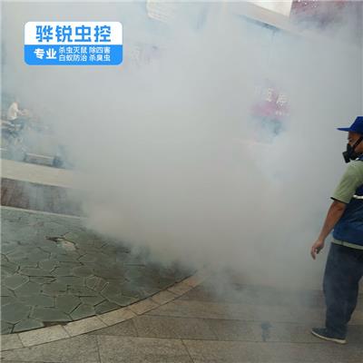 深圳除四害 家庭酒店四害消杀 解决方案