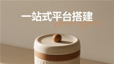 郑州企业一站式平台搭建难吗 创新服务 开封玖悦传媒科技供应