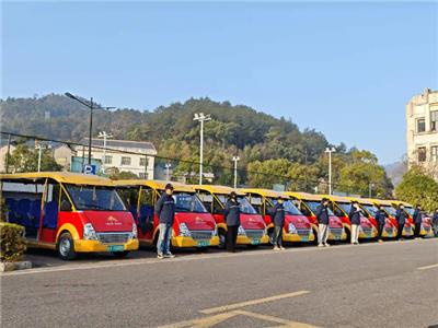 湖州度假村摆渡车 高尔夫球车 专菱车辆科技供应