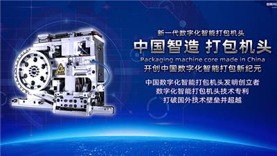 广西水平打包机参数 欢迎咨询 上海鑫双马包装工业供应