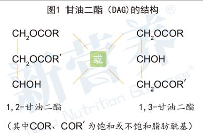 江苏研发甘油二酯常见问题 深圳市康颜生物科技供应