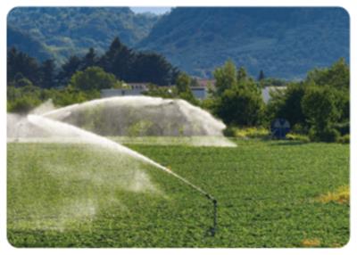 河北农业水泵 推荐咨询 浙江台州悦农机械科技供应
