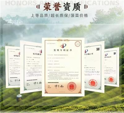 茶色素大量供应厂家如何选购，实用指南助你挑