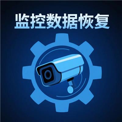 有实力的数据恢复厂商排名，湖南怪老头****