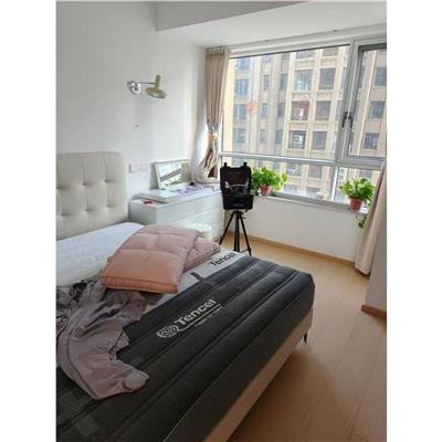 杭州办公室甲醛治理电话 室内外甲醛治理